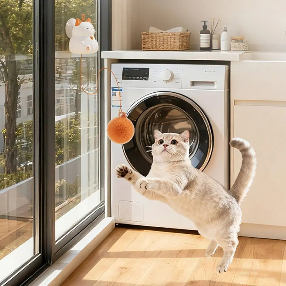 Smart Roterande Kattboll